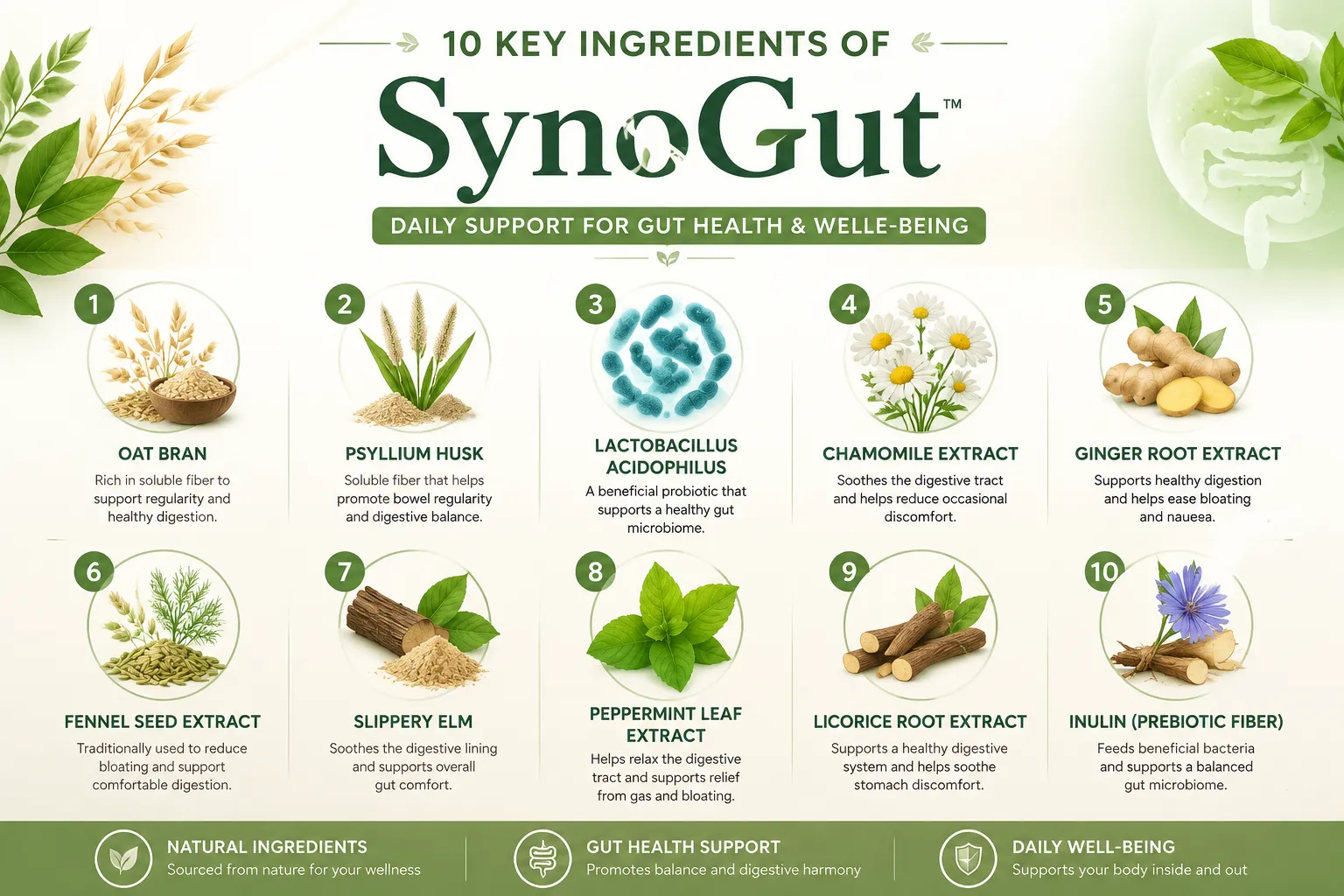 SynoGut Ingredients